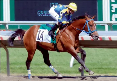  ?? Supplied photo ?? Paddys Day on way to winning the Sheikh Zayed bin Sultan Al Nahyan Cup US Triple Jewel. —