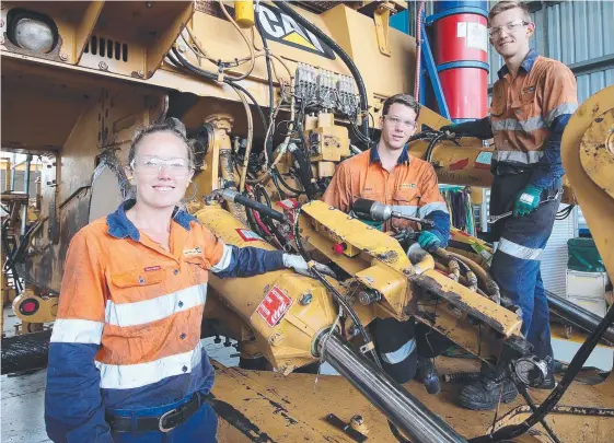  ?? Picture: SUPPLIED ?? Hastings Deering workers Dannielle Weston, James Inslay and Riley Stewart on the job.