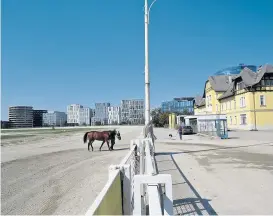  ??  ?? Noch steht das Pferd vor dem Hochhaus. Vielleicht siedelt es mit seinen Gefährten aber bald um und macht weiteren Häusern Platz. Wien