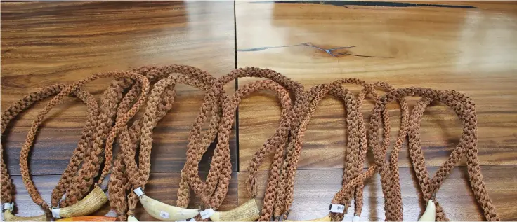  ?? Whales tooth (Tabua) on display. Photo: iTaukei Affairs . ??