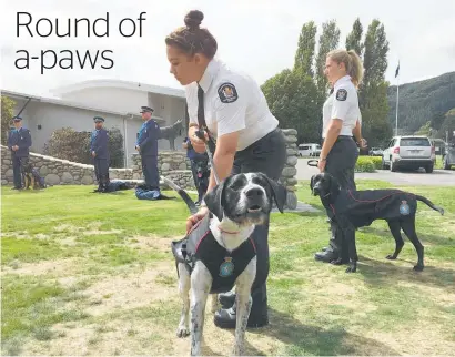  ?? Picture / Frances Cook ?? Aviation Security dog and handler teams were among the 10 teams to graduate yesterday.