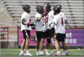  ?? TERPS ATHLETICS — HANDOUT ?? The Maryland men’s lacrosse team celebrates after scoring a goal against Ohio State on April 6, 2024, at SECU Stadium in College Park.