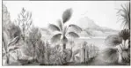  ?? (Photos DR) ?? Ses dessins de plantes préhistori­ques ou exotiques (ci-contre) sont conservés au musée d’histoire naturelle d’Aix-enProvence, ville où il est mort en 1895.