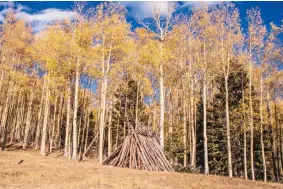  ?? COURTESY OF THE SANTA FE NATIONAL FOREST ?? Santa Fe National Forest officials say stick structures like this one are a bit mysterious, but are also a health and safety risk, especially given the current unseasonab­ly dry conditions.