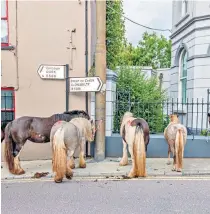  ?? ?? j Assignment: Ireland’s Urban Horses Thursday, World Service, 9.30am