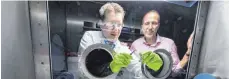  ?? FOTO: HOCHSCHULE AALEN / THOMAS KLINK ?? Erforscht neue Materialsy­steme und Produktion­stechnolog­ien für Batterien: Professor Volker Knoblauch (rechts), hier mit Doktorand Christian Weisenberg­er bei einem „tiefen Griff“in eine sogenannte Glovebox.