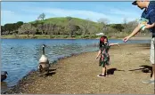  ?? FILE PHOTO ?? A father-child ritual may be in jeopardy if the “no” side of an online debate about feeding bread to waterfowl has its way and gets the practice banned.