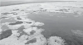  ?? VLADIMIR MEZA ?? En este mes de junio podría definirse si los tampiqueño­s volverán a padecer el agua salada en casa