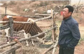  ??  ?? 袁成當上村主任，與妻子養了20多頭牛。
（取材自紅星新聞）