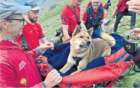  ?? ?? Volunteers from Keswick Mountain Rescue Team carry the Japanese mountain dog down Scafell Pike in the Lake District