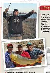  ??  ?? Maxi Acosta (centro), junto a sus amigos, capturó este gran dorado en las aguas del Paraná, cerca de Bella Vista, Corrientes. A unos 100 km de Junín, cerca de la R Ruta 5, Mario Cuevas logró pejerreyes y bagres. El pescador Nahuel Millar consiguió g...