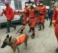  ?? NG HAN GUAN — ASSOCIATED PRESS ?? Rescuers with search dogs walk along a road near the site of a landslide in Xinmo village in Maoxian County in southweste­rn China’s Sichuan Province Saturday. Crews searching through the rubble left by a landslide that buried a mountain village under...