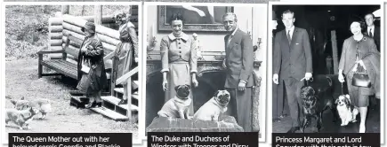  ??  ?? The Queen Mother out with her beloved corgis Geordie and Blackie
The Duke and Duchess of Windsor with Trooper and Disry
Princess Margaret and Lord Snowdon with their pets in tow