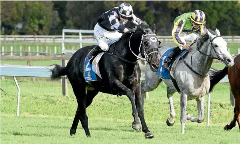  ?? RACE IMAGES ?? Five To Midnight gets the win he richly deserved yesterday in the Hawke’s Bay Cup at Hastings, beating home the grey Maygrove.