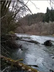  ?? SHARON HAFNER PHOTO ?? A view from the Redwood Creek Trail in Redwood State Park.