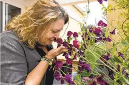  ?? HAYNE PALMOUR IV PHOTOS FOR THE U-T ?? Jennifer Dell savors the heady aroma of sweet pea. She credits loved ones with helping her create the garden: “This wasn’t just my effort. It was my family’s.”