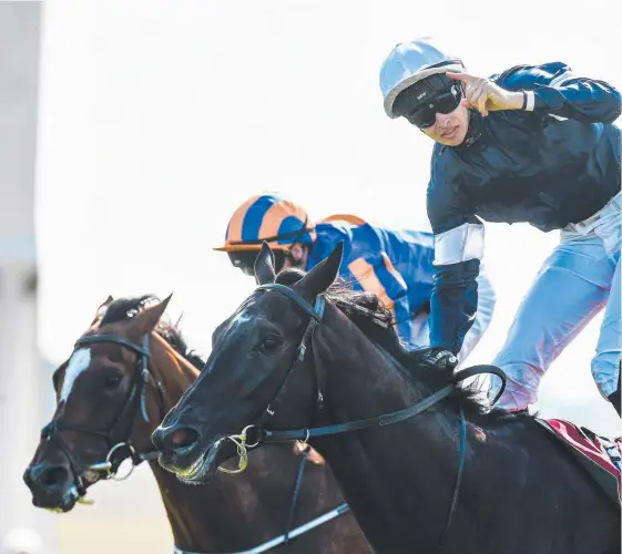  ?? Picture: GETTY IMAGES ?? Latrobe (right) with Donnacha O'Brien after winning the Irish Derby. The horse’s Melbourne Cup fate remains up in the air.