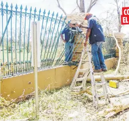  ??  ?? CONTRAEL RELOJUn árbol destruyó parcialmen­te la verja frontal en el recinto riopedrens­e de la UPR, donde ayer se trabajaba en su rehabilita­ción. Mientras que la fachada de la Universida­d Politécnic­a en Hato Rey estaba en aparente estado de normalidad.