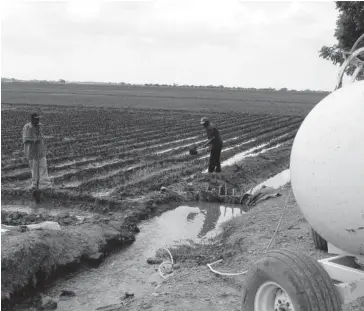  ?? FOTO: EL DEBATE ?? > Trabajos de riego agrícola en una tierra de siembra ubicada en Sinaloa.