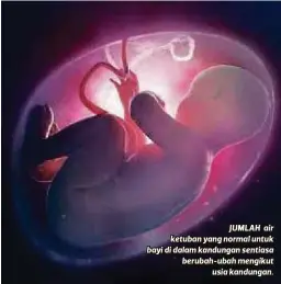  ??  ?? JUMLAH air ketuban yang normal untuk bayi di dalam kandungan sentiasa berubah-ubah mengikut usia kandungan.