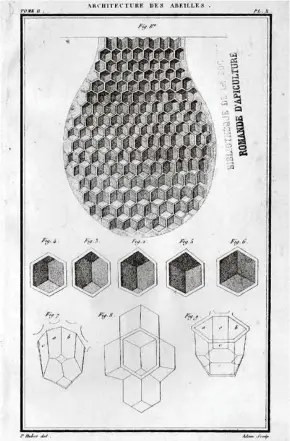  ?? (ÉDITIONS SLATKINE) ?? Ci-dessus: Planche illustrant les principes d’architectu­re du rayon (tirée des «Nouvelles observatio­ns sur les abeilles», François Huber, tome II, 1814).A droite: La ruche «en feuillets», à l’origine de la ruche moderne à cadres mobiles («Nouvelles observatio­ns», tome I).