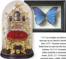  ??  ?? TOP Les Couilles du Chien’s new pop- up on Liberty’s fourth "oor INSET Founder Jerome Dodd loves to seek out the less ordinary ABOVE A morpho didius butter "y in ebonised frame, £115 LEFT A French marriage dome, c1900, £ 695