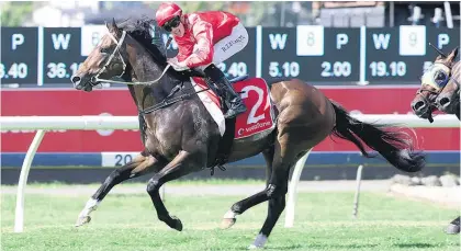  ?? Picture / Racing Desk ?? Ferrando has an eye on the A$1 million Goodwood at Morphettvi­lle on May 20.