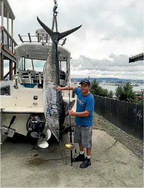  ?? SUPPLIED ?? Keen Cambridge fisherman Mike Bell and his 104kg marlin that was caught in Kawhia.