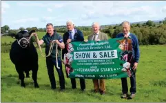  ?? ?? Pictured at the launch of the ‘Fermanagh Stars’ Multi-breed Calf Show and Sale are (from left) Thomas Keelagher, committee member FPLB holding the Drummeer herd’s Aberdeen Angus stock bull; Robert Brownlee, chairman of Fermanagh Pedigree Livestock Breeders Group Ltd; Stuart Johnston, managing director of Ulster Farmers Mart Co. Ltd; and Edwin Morrison, Drummeer Aberdeen Angus and honorary member FPLB group.