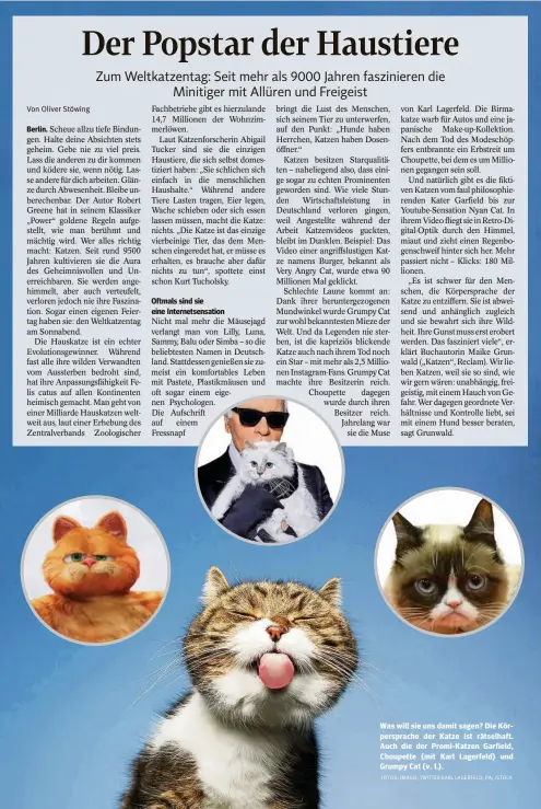  ?? FOTOS: IMAGO; TWITTER KARL LAGERFELD; PA; ISTOCK ?? Was will sie uns damit sagen? Die Körperspra­che der Katze ist rätselhaft. Auch die der Promi-Katzen Garfield, Choupette (mit Karl Lagerfeld) und Grumpy Cat (v. l.).