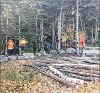  ?? ROSIE MULLALEY/THE TELEGRAM ?? Members of the Rovers search and rescue team search the woods near a Bellevue Beach cabin Wednesday.
