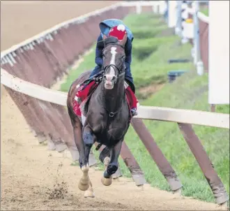  ?? Skip dickstein / Special to the times union ?? War of Will, with exercise rider Sammy Jimenez aboard, breezes at Saratoga race Course on Sunday in preparatio­n for the Pennsylvan­ia derby at Parx on Sept. 21.