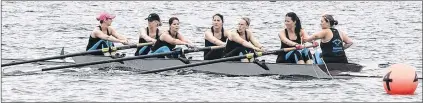  ?? JOE GIBBONS/THE TELEGRAM ?? The Pouch Cove Pharmacy crew, coxswain Melissa Snow, stroke Melissa Doyle, No. 5 Charmaine Wiseman, No. 4 Alice Codner, No. 3 Stephanie Bolger, No. 2 Colleen Bolger and No. 1 Tara Thomas, head down the pond in the second race of the day at 8:20 a.m.,...