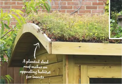  ??  ?? A planted shed roof makes an appealing habitat for insects