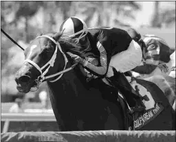  ?? K ENNY MARTIN/COGLIANESE PHOTOS ?? nd Pay Any Price’s connection­s have plotted a winter campaign in Florida after the gelding didn’t make the BC Turf Sprint field.