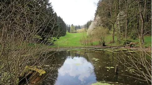  ?? FRANZISKA GRÄFENHAN (5) ?? Der Schauenbur­gsteich liegt unterhalb der gleichnami­gen Burg. Diese wurde von den Mönchen in Reinhardsb­runn bis auf wenige Steine abgetragen.