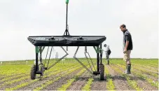  ?? /Reuters ?? Production practices: The prototype of an autonomous weeding machine by Swiss start-up ecoRobotix is tested on a sugar beet field near Bavois, Switzerlan­d earlier this year. Technology has the potential to achieve a green revolution in Africa.