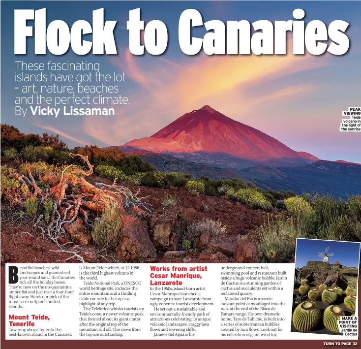  ??  ?? PEAK VIEWING Teide volcano in the light of the sunrise
MAKE A POINT OF VISITING Jardin de Cactus