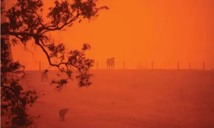  ?? Photograph: Saeed Khan/AFP via Getty Images ?? ‘The claim that arson is a primary cause of this season’s bushfires has been comprehens­ively debunked.’