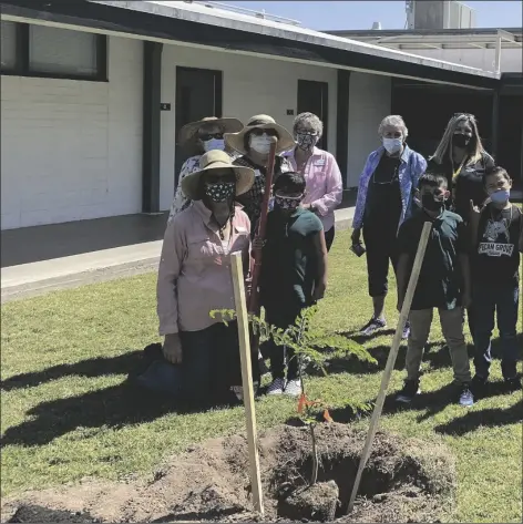  ?? PHOTO BY KAREN BOWEN ?? TRICIA KINNELL, EDUCATOR FOR ARIZONA HEALTH ZONE, helps Pecan Grove Elementary School students plant a tree during the school’s Arbor Day celebratio­n. Yuma Garden Club members, in the back row, sponsored four trees planted during the event. Thirty-seven trees were planted to provide shade on the school’s playground.