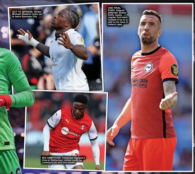  ?? ?? OUT TO IMPRESS: Striker Michael Obafemi looks set to leave Swansea City
BIG AMBITIONS: Chiedozie Ogbene’s time at Rotherham United could be coming to an end this month
ONE FINAL PUSH: Veteran defender Shane Duffy needs regular first-team football if he is to add to his haul of Ireland caps