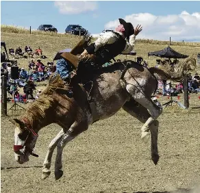 ‘Great day’ at growing rodeo - PressReader