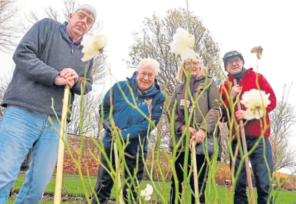  ?? ?? DEDICATED: Gregor Mcgillivra­y, Nicol Miller, Gillian Milne and Alan Watson at work in Springfiel­d Rose Garden. Picture by Gareth Jennings.