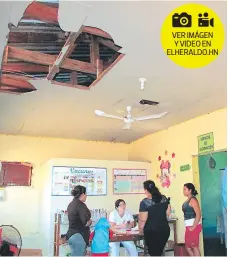  ?? FOTO: MARLIN HERRERA ?? Los murciélago­s han hecho nido en el centro educativo gracias a las condicione­s en las que se encuentra.