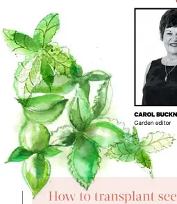  ?? Garden editor ?? CAROL BUCKNELL