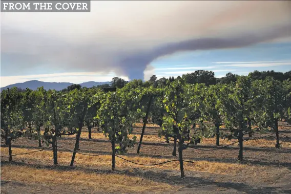  ?? Preston Gannaway / Special to The Chronicle ?? A distant wildfire burns on Aug. 18, seen from Fulton in Sonoma County. Smoke over a wide area made it harder to know which grapes would be tainted.