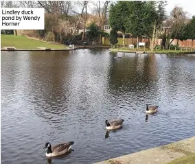  ??  ?? Lindley duck pond by Wendy Horner