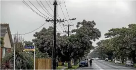  ?? DAVID UNWIN/ STUFF ?? Street trees in Palmerston North’s Maxwells Line have been shaped to avoid interferen­ce with overhead power and telephone lines.