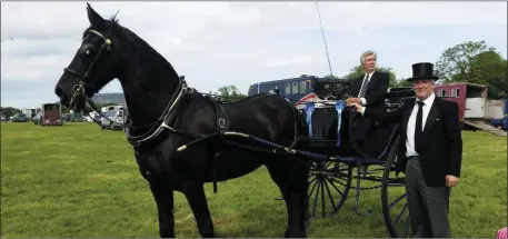  ??  ?? Pat Sweeney, Arklow with his pony and trap which won second prize at the Gorey Show last year.