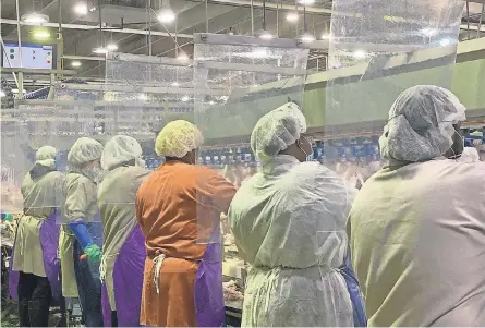 ??  ?? Tyson Foods has installed plastic barriers between worker stations at its meat and poultry plants to protect against transmissi­on of the novel coronaviru­s. But some say the safety measures are too little, too late. TYSON FOODS